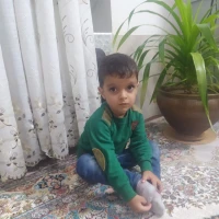 امیر رضا