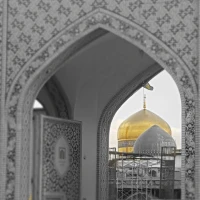 محمد مهدی افکار