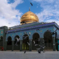 مهرداد ابراهیمی مقدم