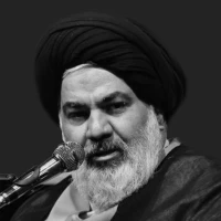 حجت الاسلام سید علیرضا تراشیون