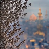 محمد اسماعیلی