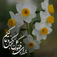 سعید سیستانی