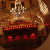 محمدرضا  مداح