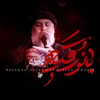 ایتها الشهیده ی ۳ ساله