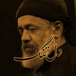 دل‌تنگ