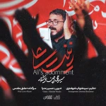 زینت علی