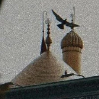 فاطمه حسنا عبدالملکی