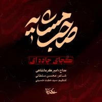 کجای جاده ای