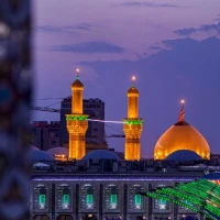 شریف علیایی