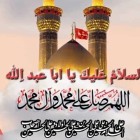 محمد هادی مهر
