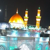 محمد زمانی