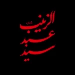 شبای جمعه این دل میره زیارت