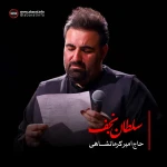 احسن الله لک العزا سلطان نجف