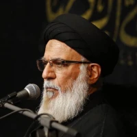 شخصیت شناسی امیر المومنین (ع)