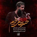 حسرت می‌خورم