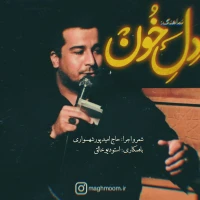 تصویر سایر ذاکرین - دلِ خون