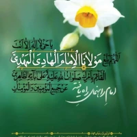 سید محمد پارسا مرتضوی