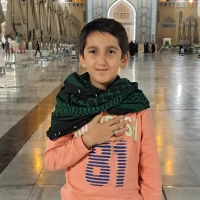 امیررضادشتی