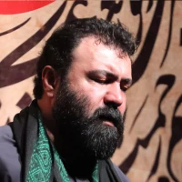 امشبی را شه دین در حرمش مهمان است