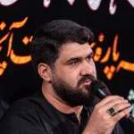 شده‌ام بَر آن، که پَری زنم