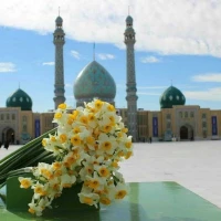 آواتار سعید ابارشی