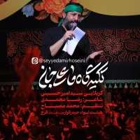 تکیه‌گاه ما علی جان