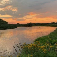 آواتار زهرا سلمانزاده