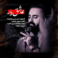 تصویر سایر ذاکرین - عاشق یار