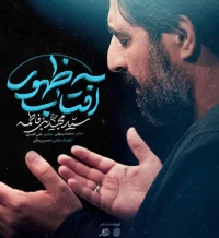 تصویر سید مجید بنی فاطمه - آفتاب ظهور