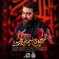 تصویر امین قدیم - نسل قاسم بن الحسن علیه السلام