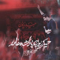 حیدریون پادشاه عالمند