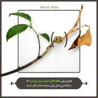 شرح دعای ندبه(قسمت 55)