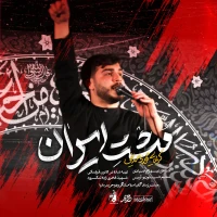 تصویر سایر ذاکرین - مشت ایران