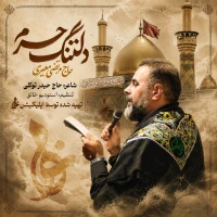 تصویر مرتضی معیری - دلتنگ حرم