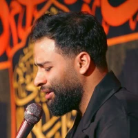 تصویر محمد عطایی نیا - آه و واویلا