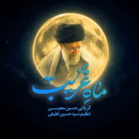تصویر سایر ذاکرین - ماه غریب