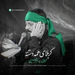 کربلای همه دستته خانوم سه ساله