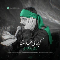 تصویر سید امیر حسینی - کربلای همه دستته خانوم سه ساله