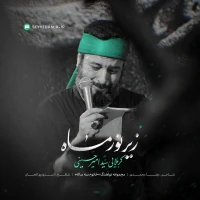 تصویر سید امیر حسینی - زیر نور ماه