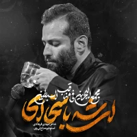تصویر امیر برومند - ای شه با سخا ای