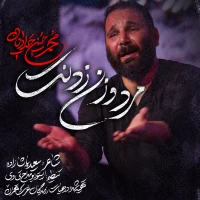 تصویر محمدحسین حدادیان - مرد و زن زدنت