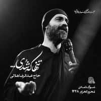 تصویر حاج عبدالرضا هلالی - تنها که شدی