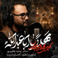 تصویر سایر ذاکرین - مَهلاً یا اباعبدالله