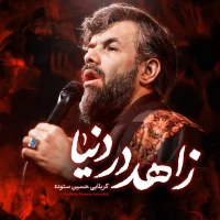 تصویر حسین ستوده - زاهد در دنیا