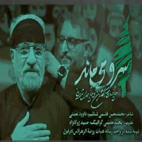 تصویر مهدی تدینی - یاران رفتند